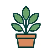 Plante